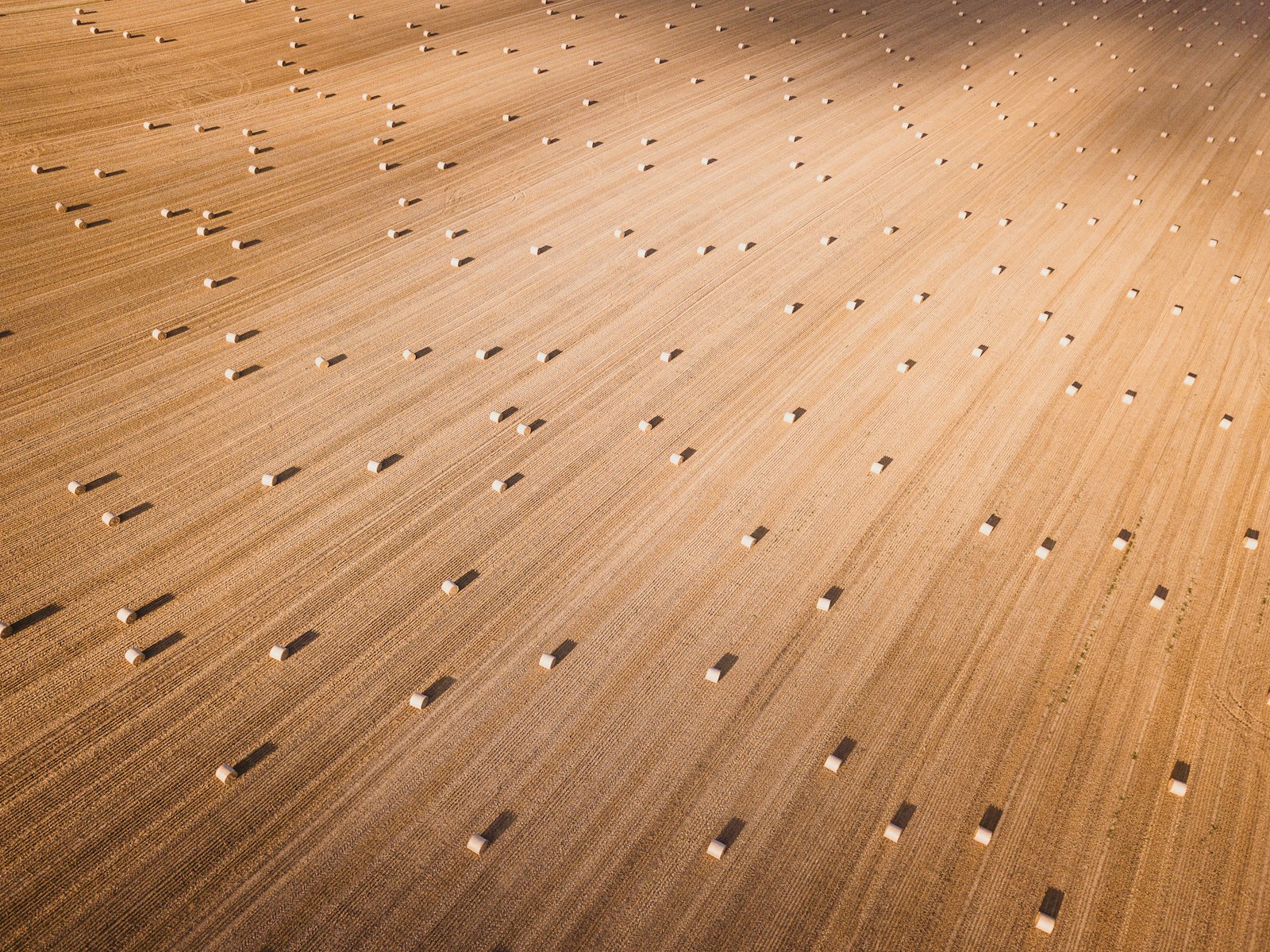 Dettaglio parquet e finiture